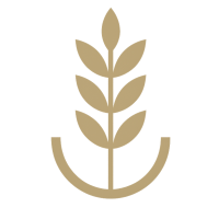 WealthCraft
