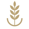WealthCraft